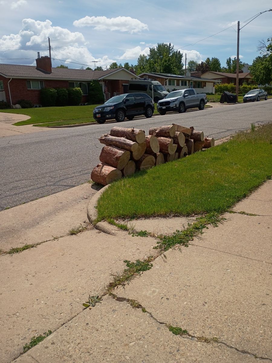 Free dry firewood