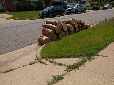 Free dry firewood