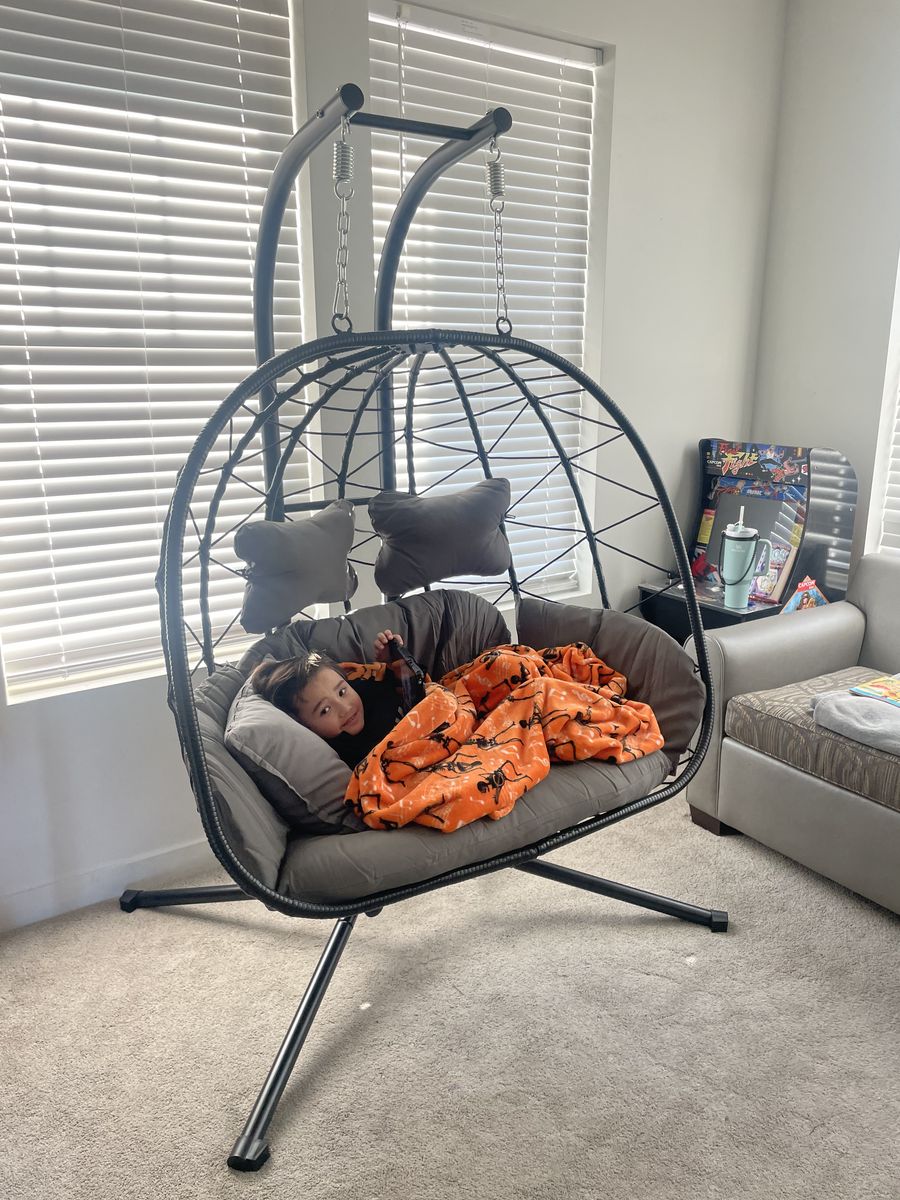 double Swing Egg Chair