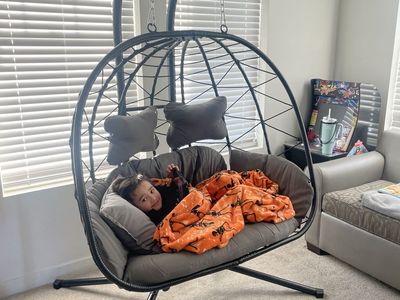 double Swing Egg Chair