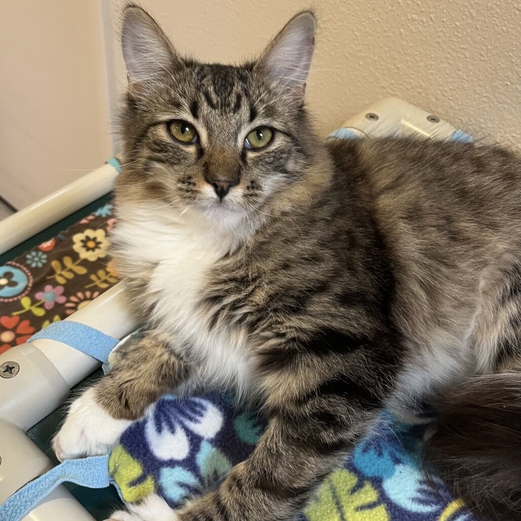 Hello my name is Earth