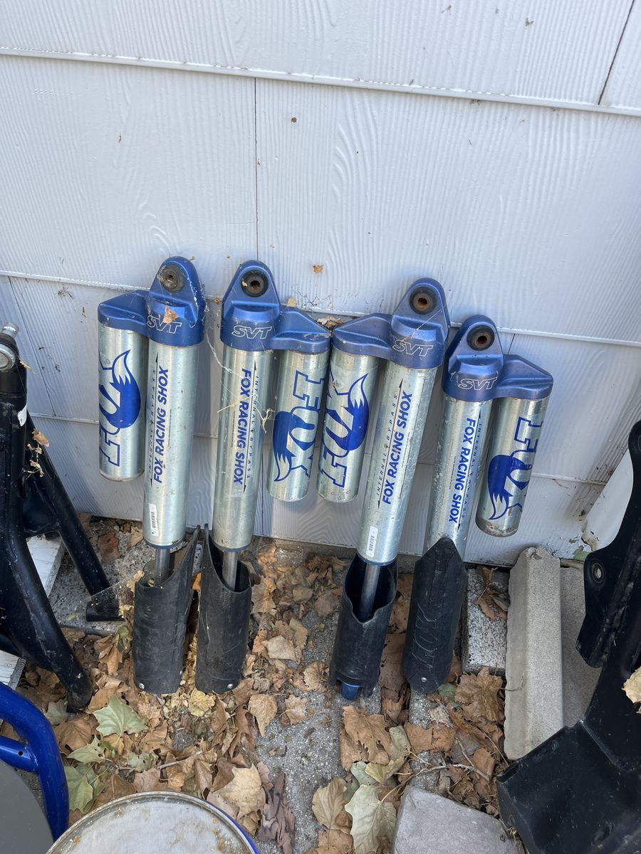 SVT rear shocks 