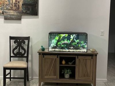 40 Gallon Bowed Front Tank