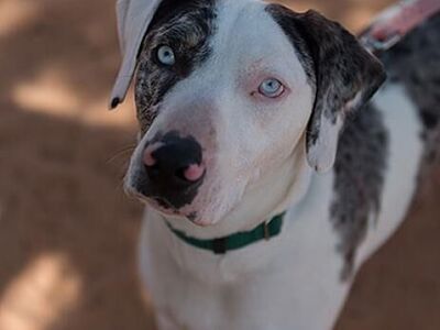 Hello my name is Frankie