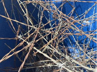 Barbed Wire rusted and new FREE