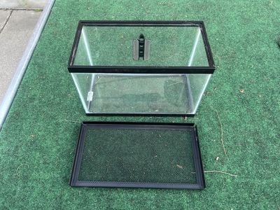 5 gallon aquarium/terrarium with screen lid