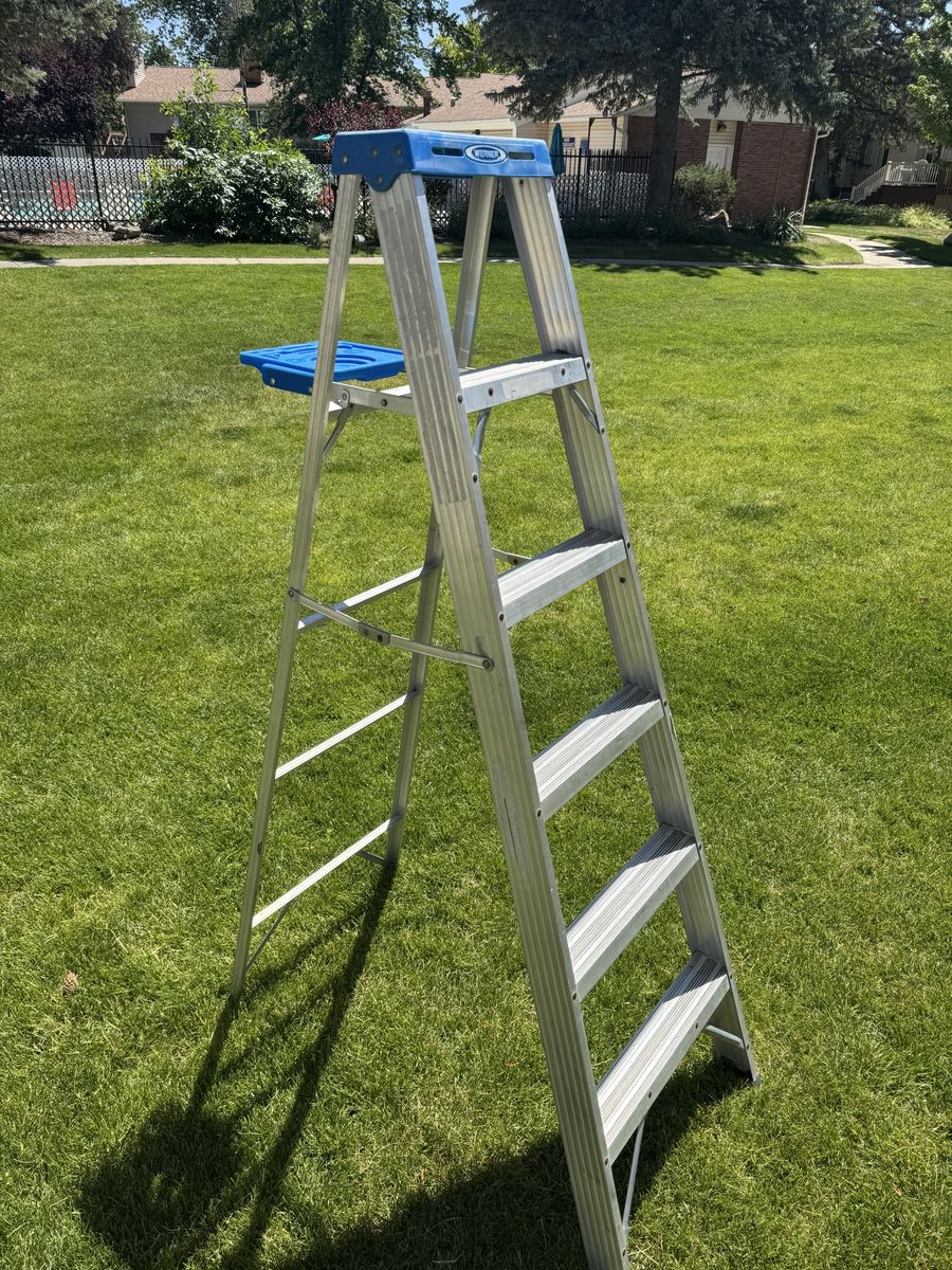Werner 6 ft Aluminum Step Ladder - Lightweight, Durable, Multi-Use, Blue Top