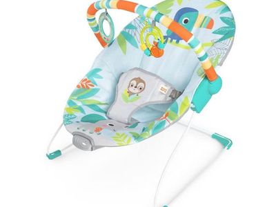 Baby Bouncer