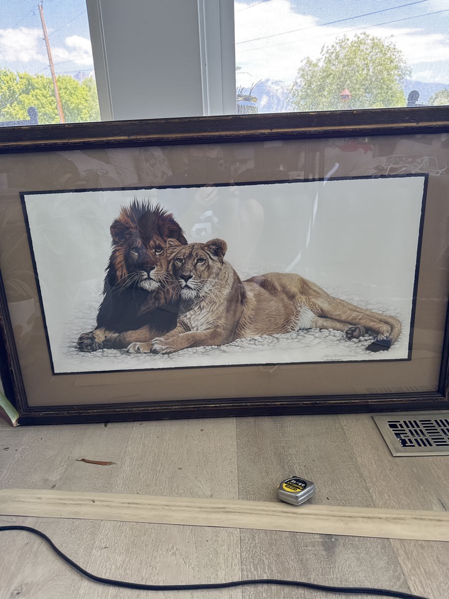 Framed Lion and Lioness Print - Wildlife Art Decor by Jan Henderson