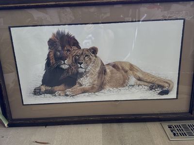 Framed Lion and Lioness Print - Wildlife Art Decor by Jan Henderson