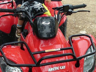 Arctic cat atv