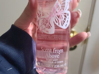 Dolly-Scent From Above