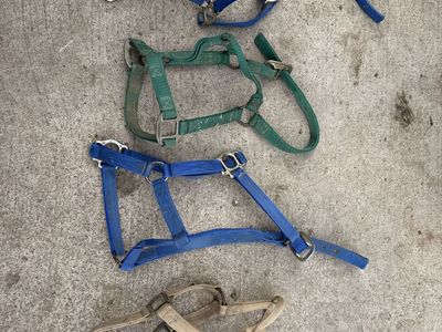 Nylon Halters