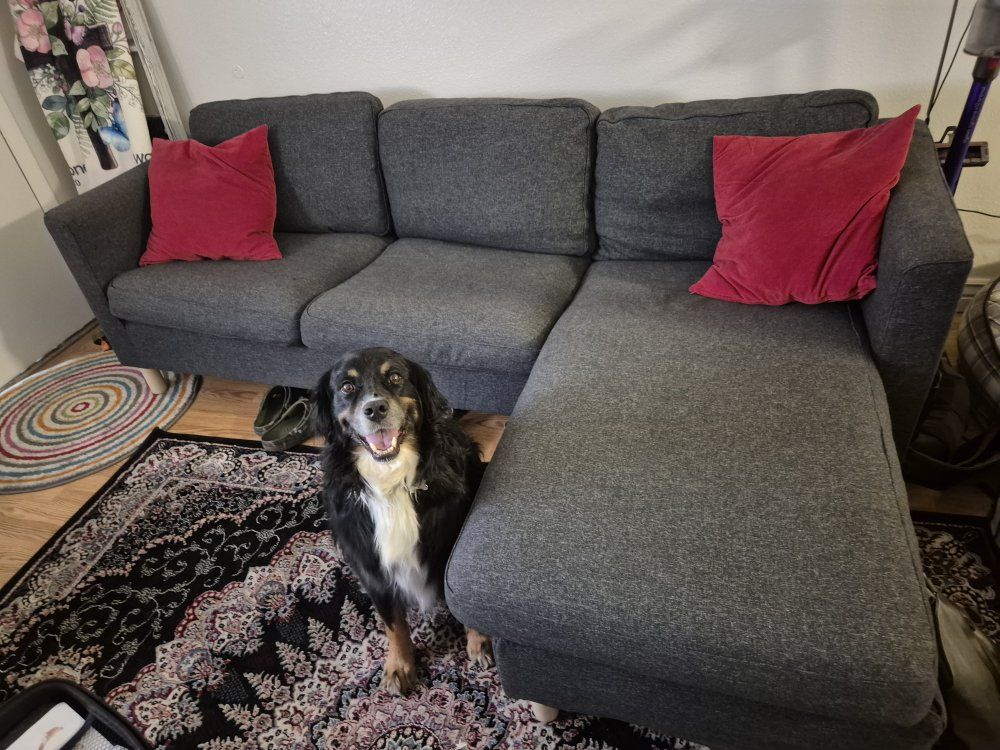 IKEA PARUP Gray Fabric Sectional Sofa w/ Chaise & Storage - Great Condition