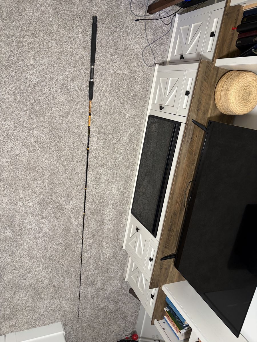 Fishing Rod, Trolling Rod, Reel- Ugly Stik Bigwater 9' Light Action Rod + Shakespeare ATS 30 Trolling Reel – $100 OBO
