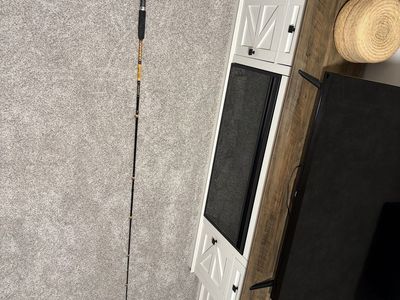 Fishing Rod, Trolling Rod, Reel- Ugly Stik Bigwater 9' Light Action Rod + Shakespeare ATS 30 Trolling Reel – $100 OBO