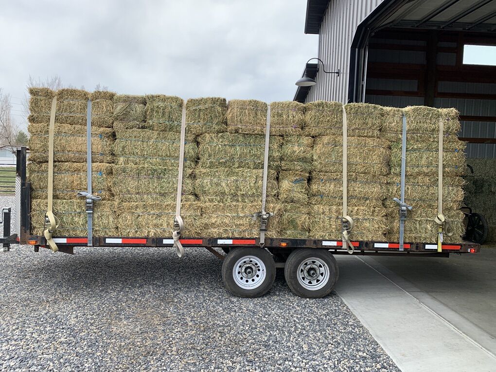 Alfalfa Hay - Ground Bales