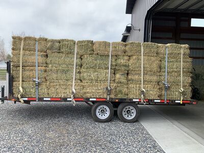 Alfalfa Hay - Ground Bales