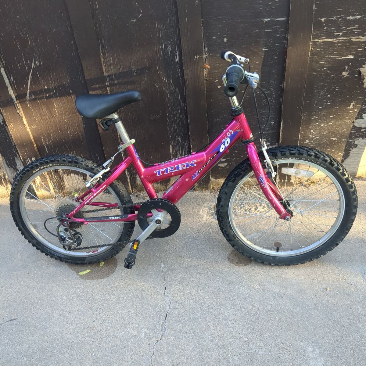 2000 Trek Mountain lion kids bike