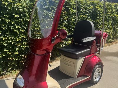Cozy Trike