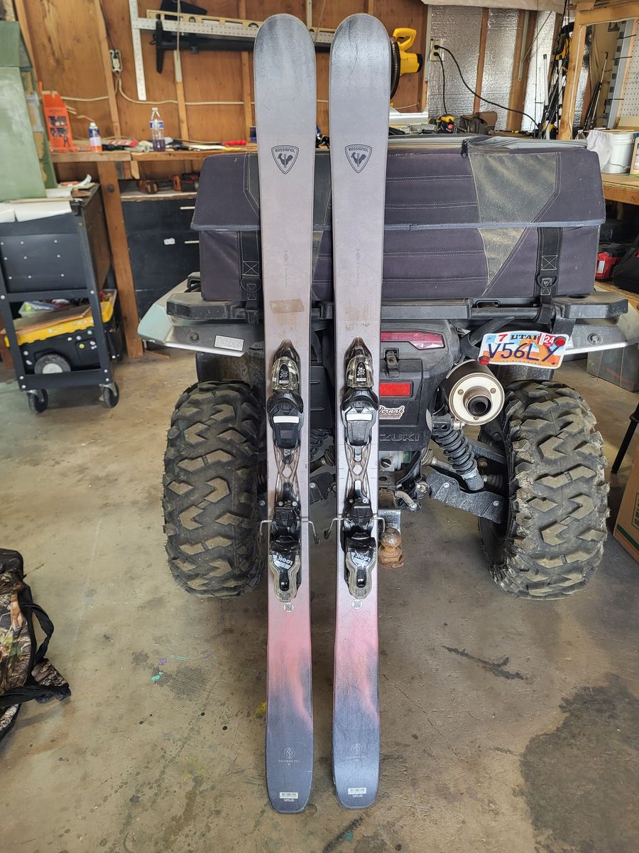 Rosinol skis