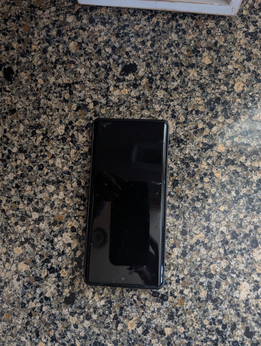 Google Pixel 6 Pro cell phone, with case  (Verizon)