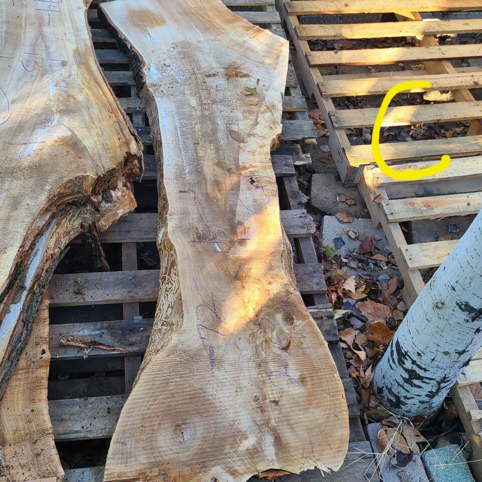 Silver Maple Slabs, Pile 6, $10 board foot