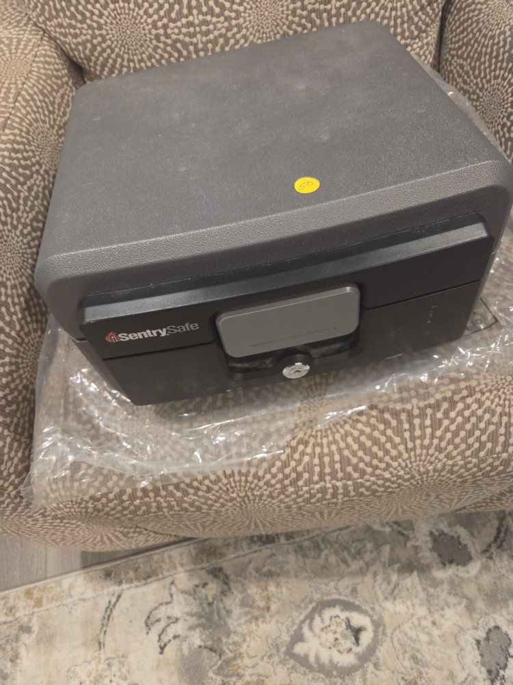 SentrySafe Fireproof & Waterproof Document Safe - Security for Valuables