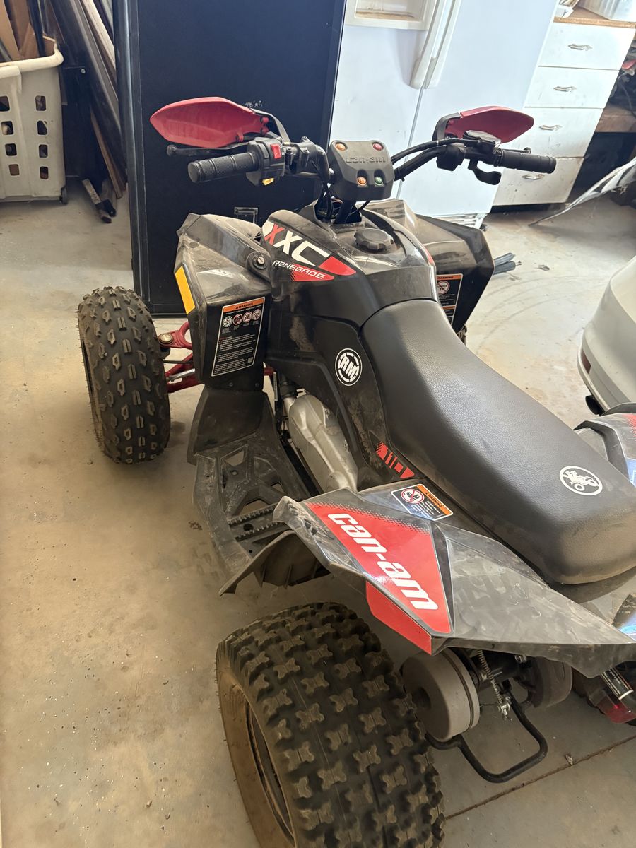 2023 cam am renegade 110