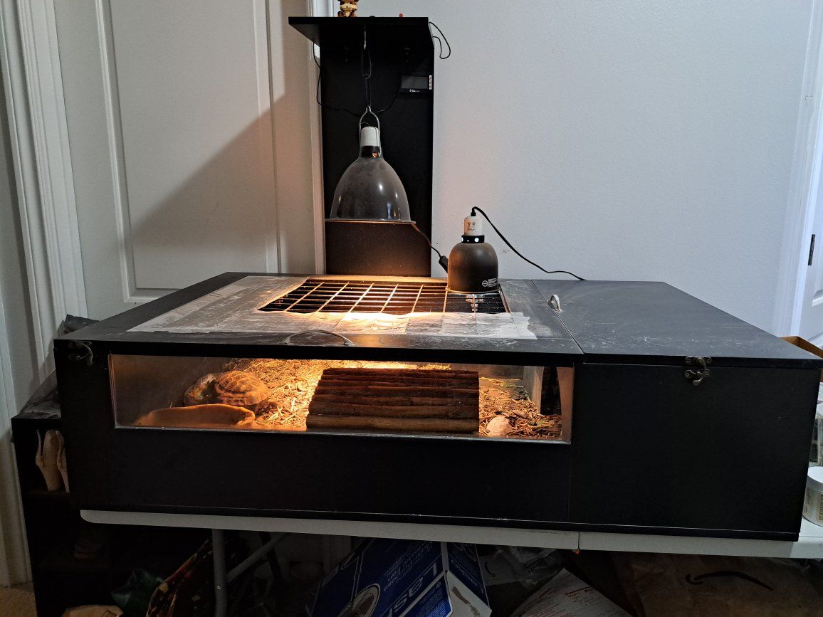 Main image 2