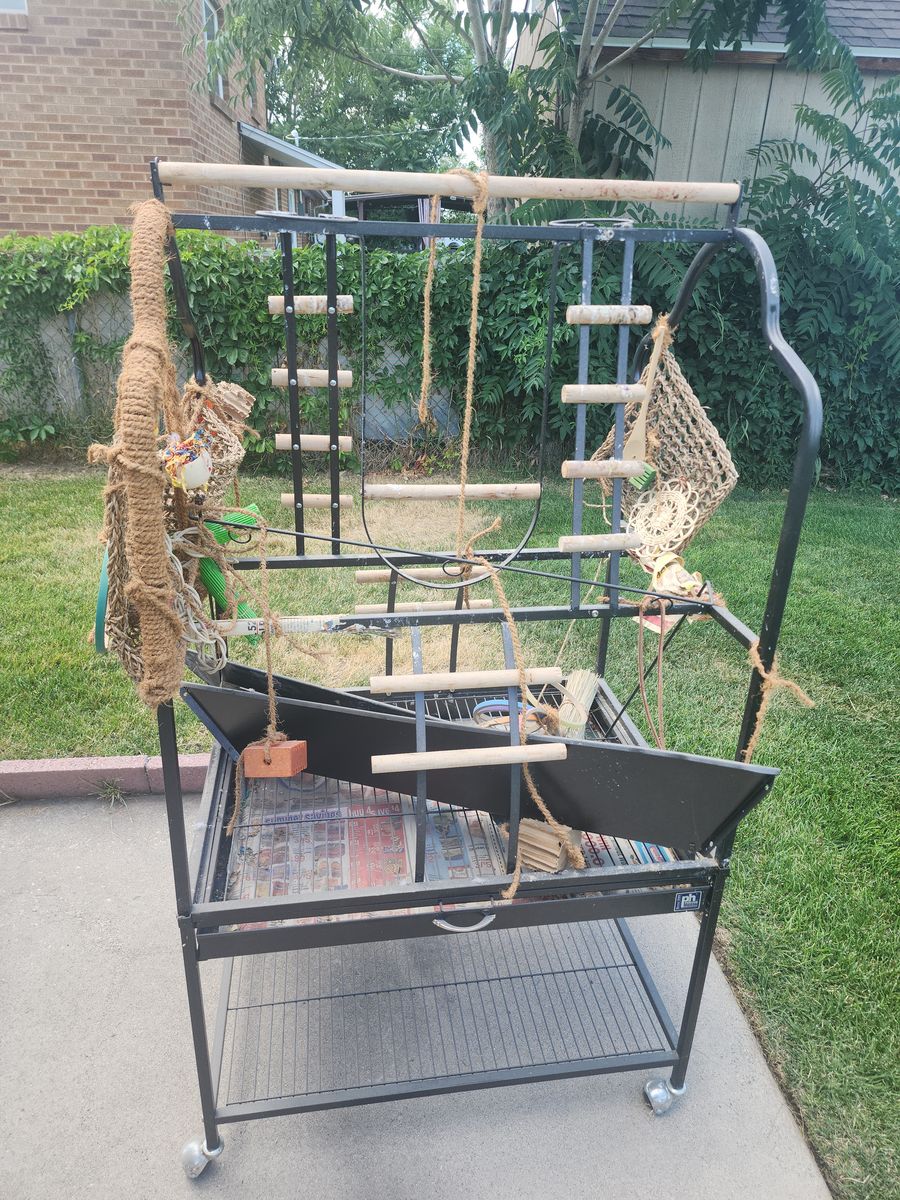 Free Large Parrot Play stand