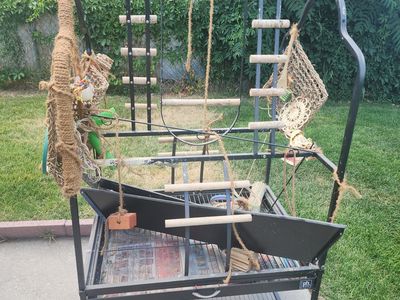 Free Large Parrot Play stand