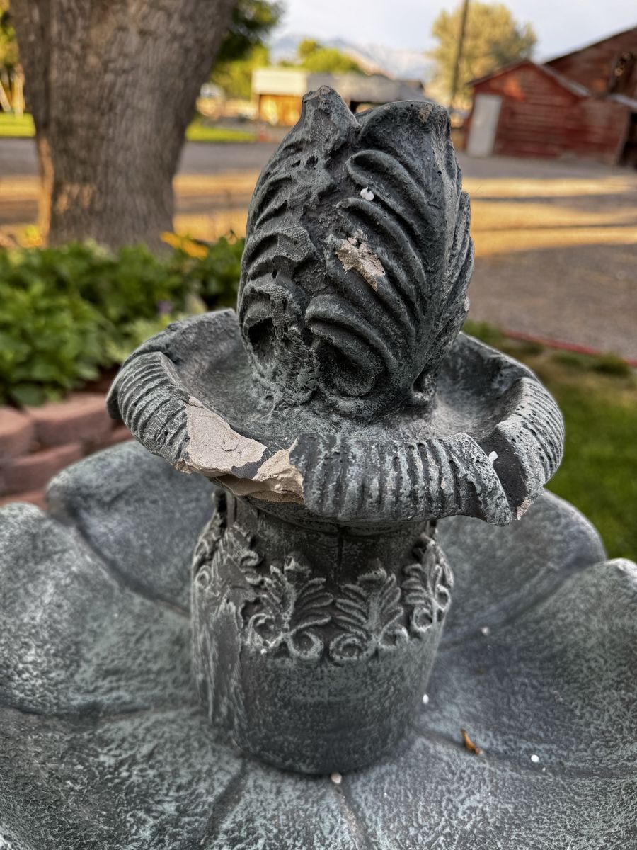 Main image 6