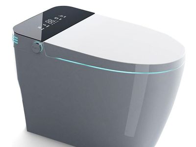 New Smart Toilet Bidet Automatic