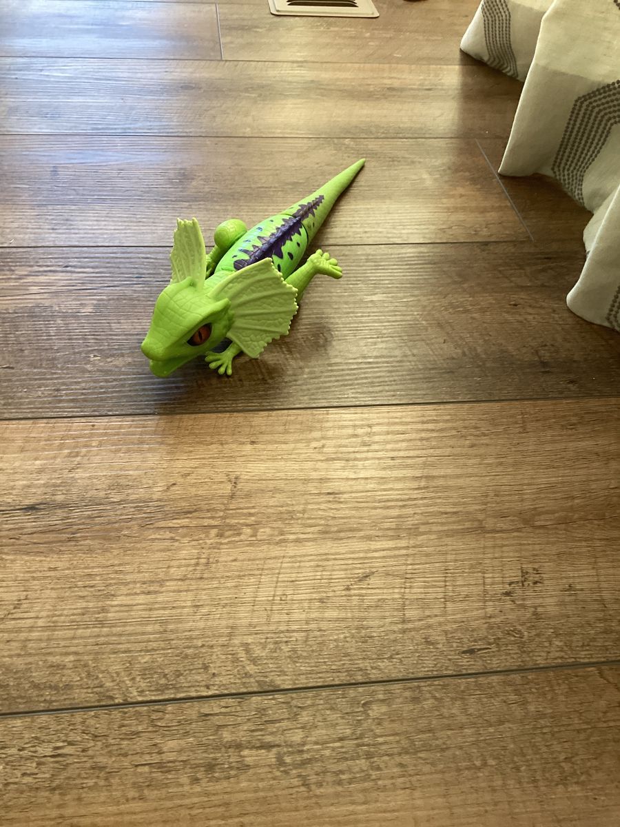 Walking lizard