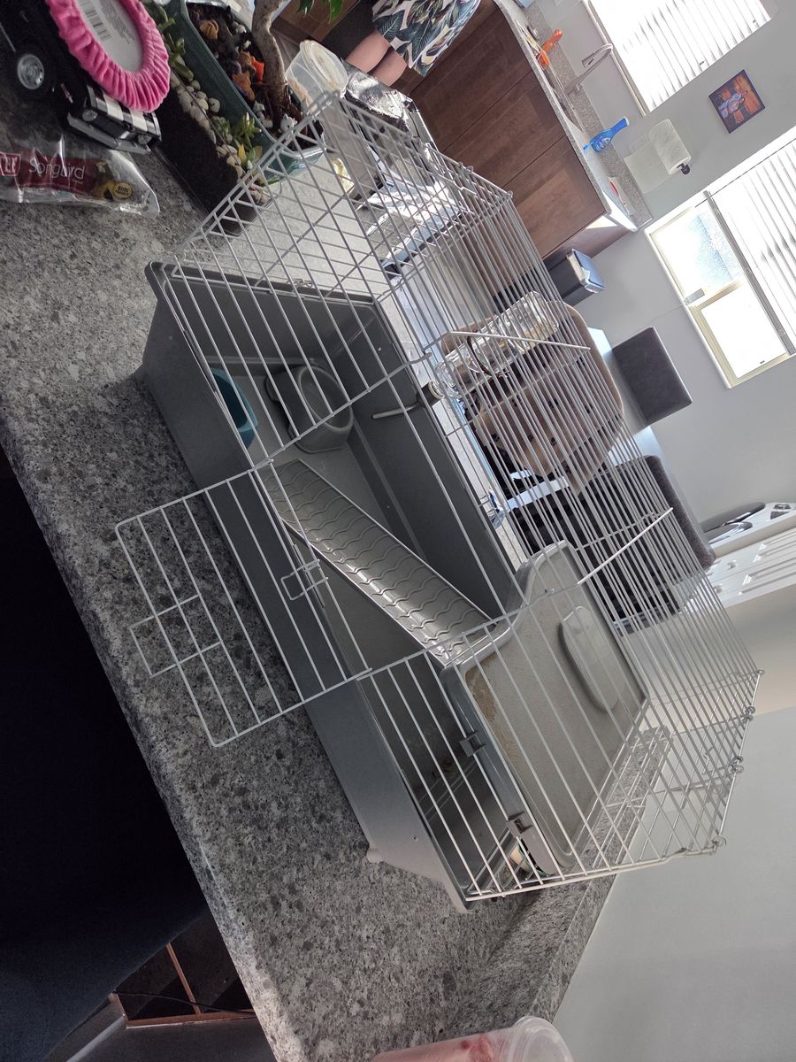 Hamster/animal cage