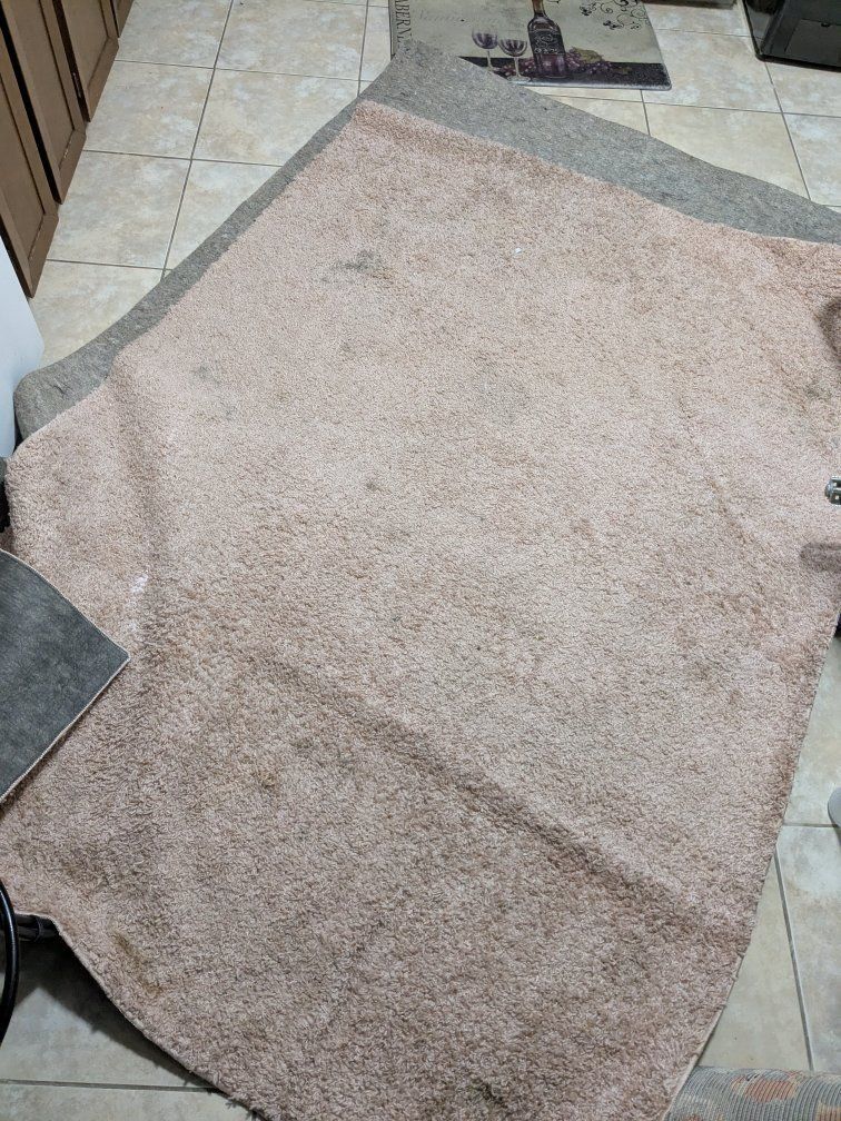 5X7 rug+rug pad