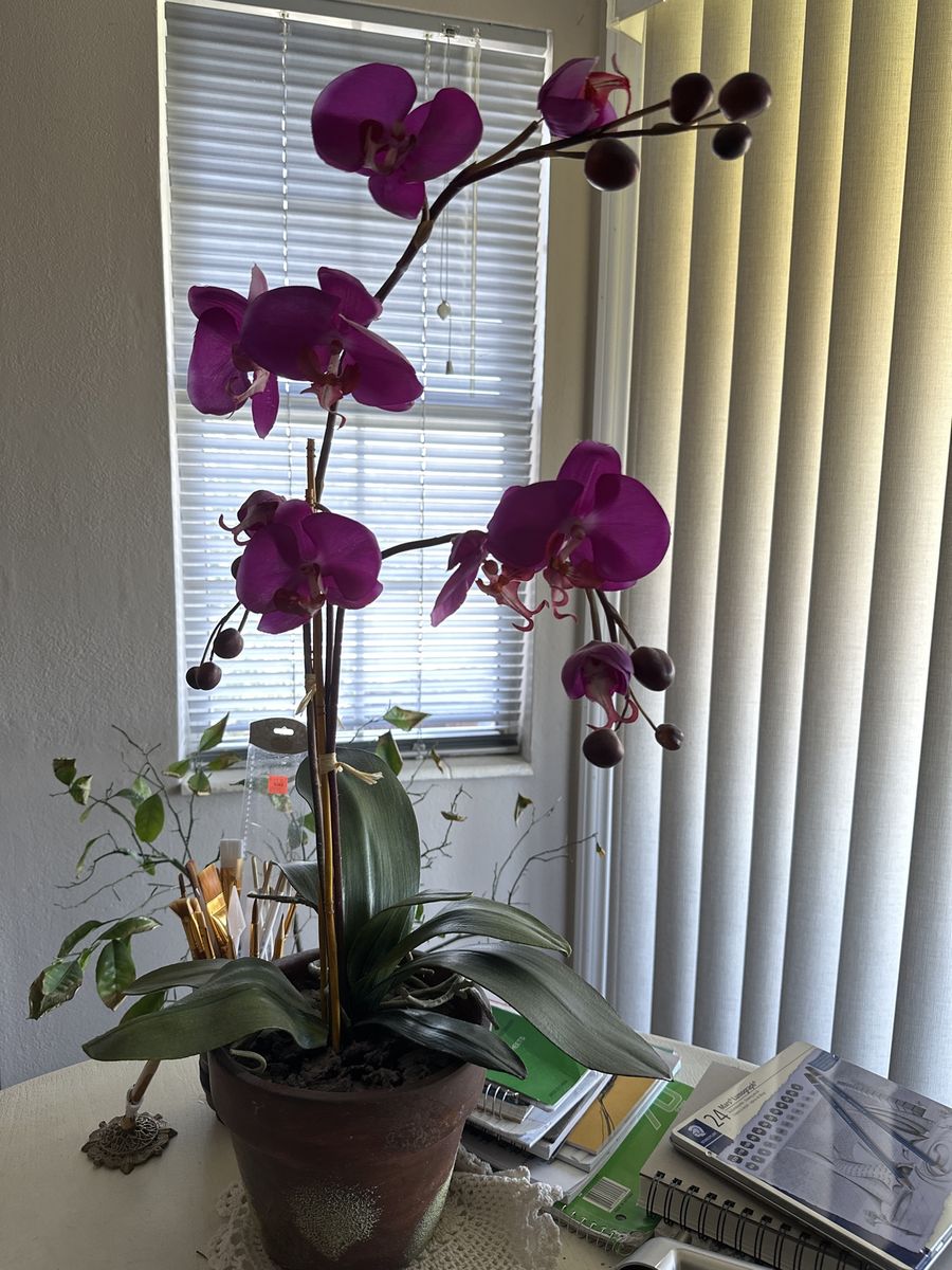 Artificial Orchid Plant 