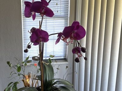 Artificial Orchid Plant