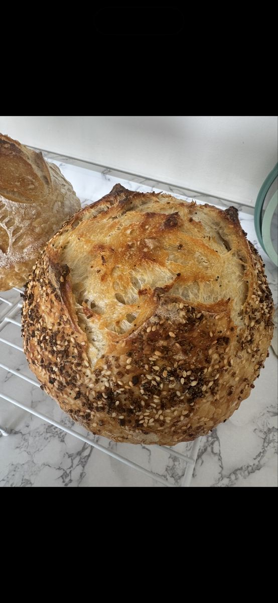 Everything bagel seasoning sourdough 5/27