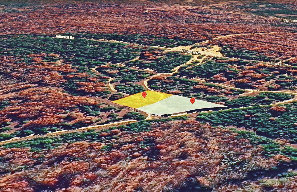 Main image 7