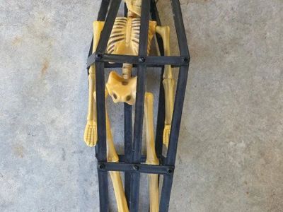 Spooky Hanging Skeleton in Coffin Cage Halloween Decoration Prop - 16.5" Tall
