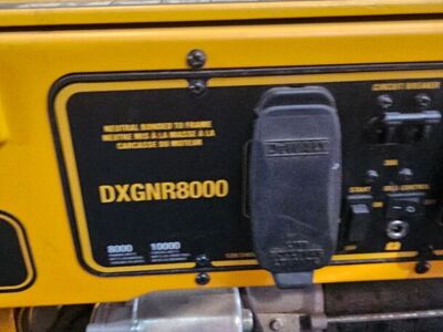 DeWalt DXGNR8000 Portable Generator,