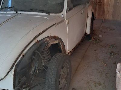 78 beetle convertible project