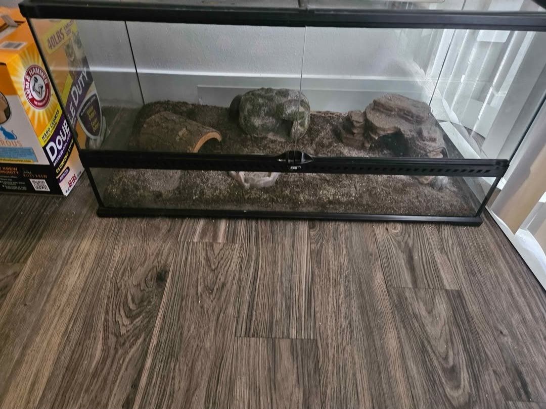 40 Gallon Tank
