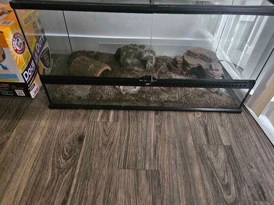 40 Gallon Tank