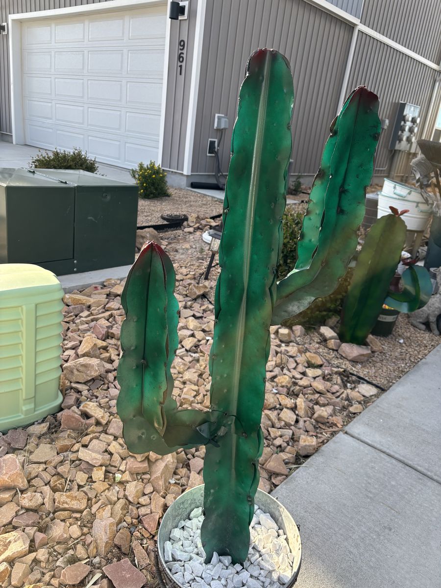 Metal cactus