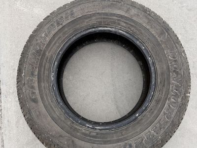 Grandtrek Dunlop tire