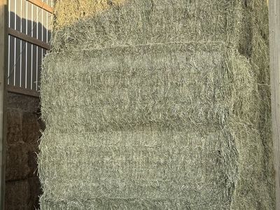 HORSE QUALITY 3x4 ALFALFA