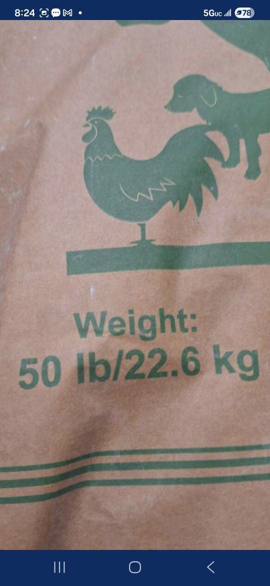 Diatomaceous Earth